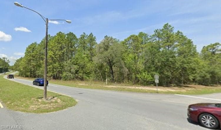 1511 Donner Dr, Citrus Springs, FL 34434-1