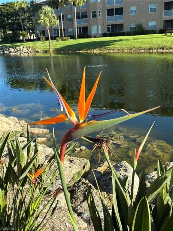 3840 Sawgrass Way 2811, Naples, FL 34112-31