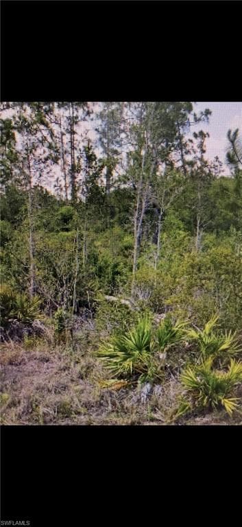 318 Tyrone Ave, Lehigh Acres, FL 33972-2