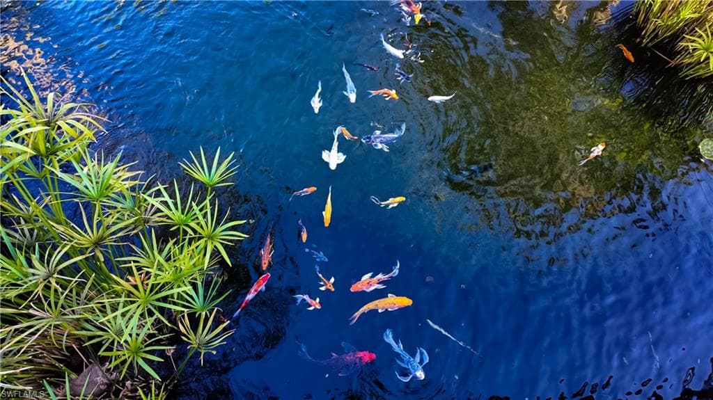 8169 Via Vecchia, Naples, FL 34108-28