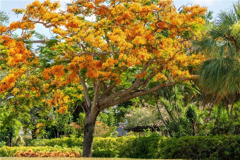 790 Willowbrook Dr 307, Naples, FL 34108-31