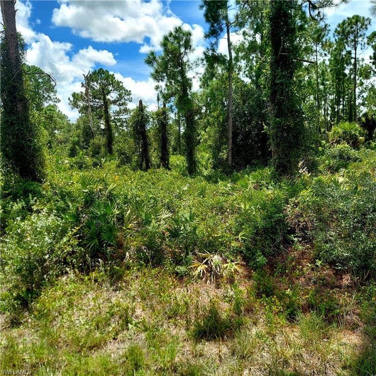 928 Binkley St E, Lehigh Acres, FL 33974-1