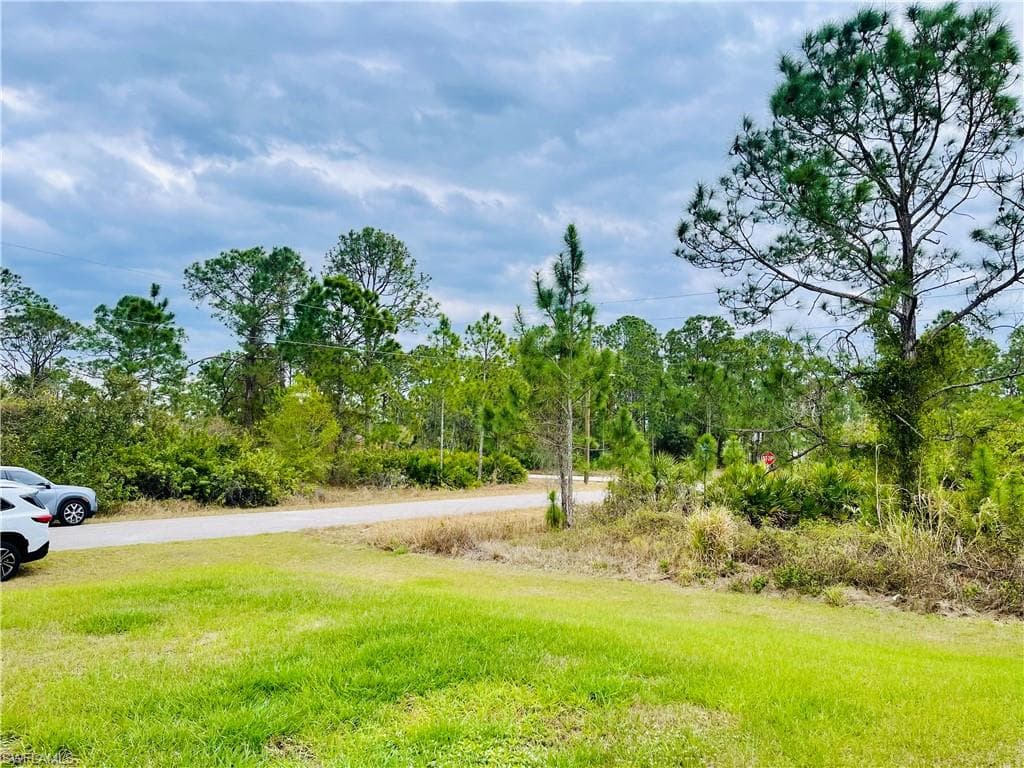 1703 Edison Ave, Lehigh Acres, FL 33972-5