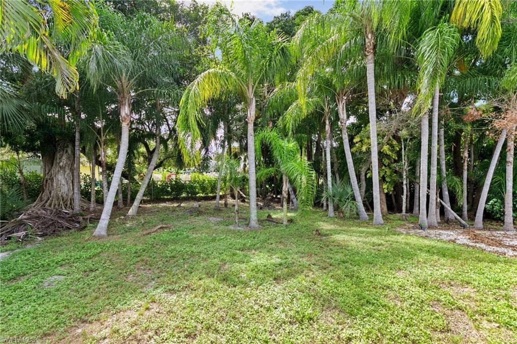 27673 Tennessee St, Bonita Springs, FL 34135-15