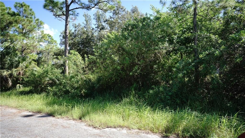 718 Clayton Ave, Lehigh Acres, FL 33972-1