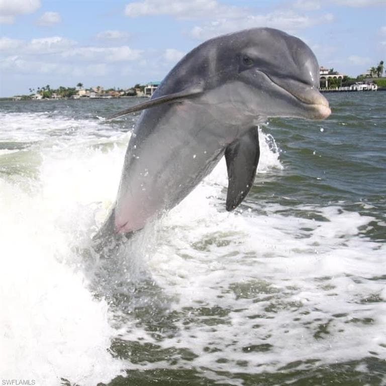 1020 Collier Blvd 604, Marco Island, FL 34145-33