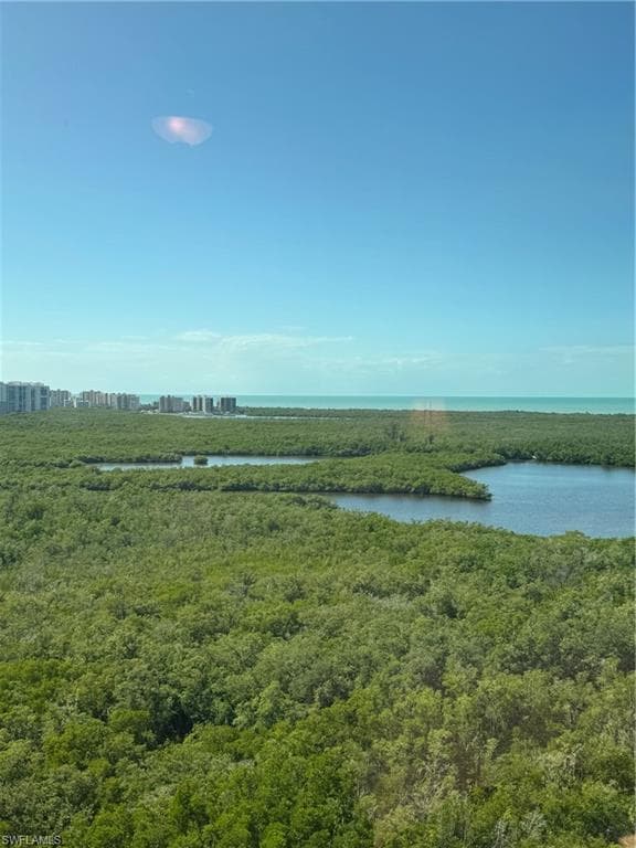 445 Cove Tower Dr 1702, Naples, FL 34110-10