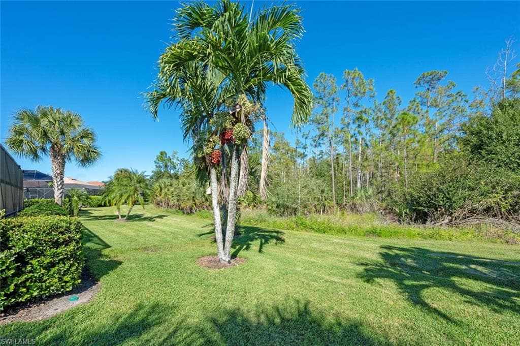 11279 Lithgow Ln, Fort Myers, FL 33913-27