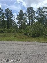 512 Scott Ave, Lehigh Acres, FL 33972-1