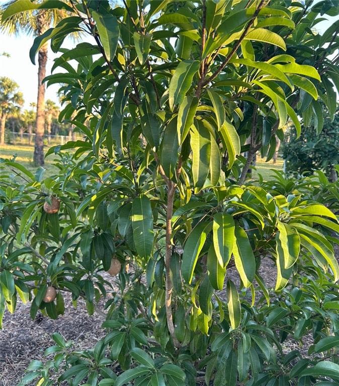 3486 40th Ave SE, Naples, FL 34117-47