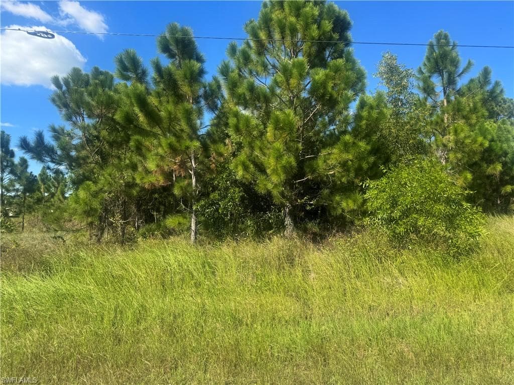 1245 Deauville St E, Lehigh Acres, FL 33974-1