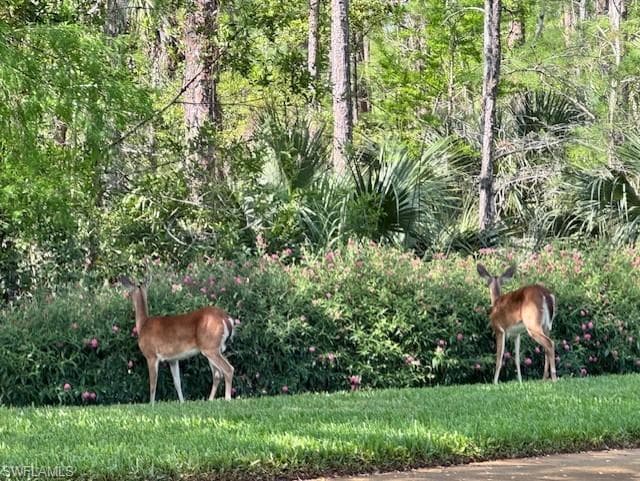 8789 Cedar Hammock Blvd 61, Naples, FL 34112-17