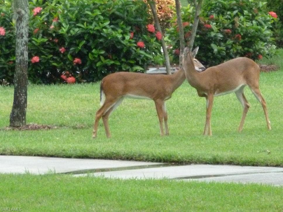 8610 Cedar Hammock Cir 1226, Naples, FL 34112-18