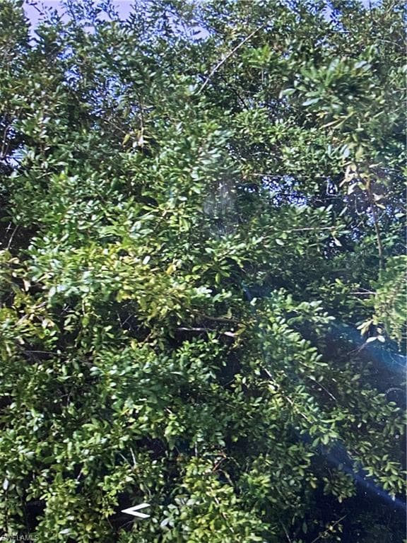 4300 15th St W, Lehigh Acres, FL 33971-2