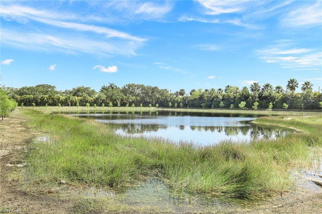 13339 Silktail Dr, Naples, FL 34109-31