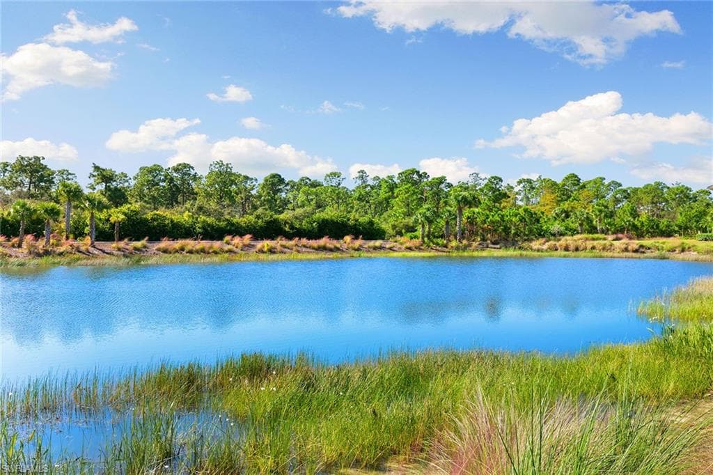 6585 Dominica Dr 201, Naples, FL 34113-30