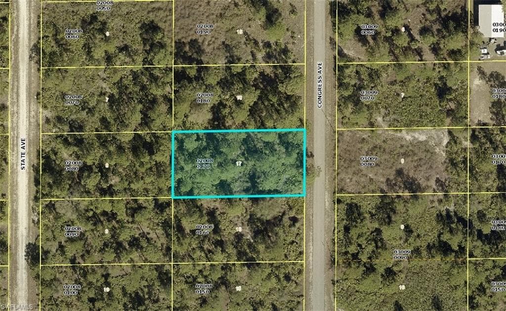 1209 Congress Ave, Lehigh Acres, FL 33972-1