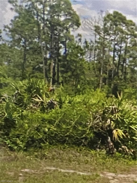 1055 Harwood Ave S, Lehigh Acres, FL 33974-2