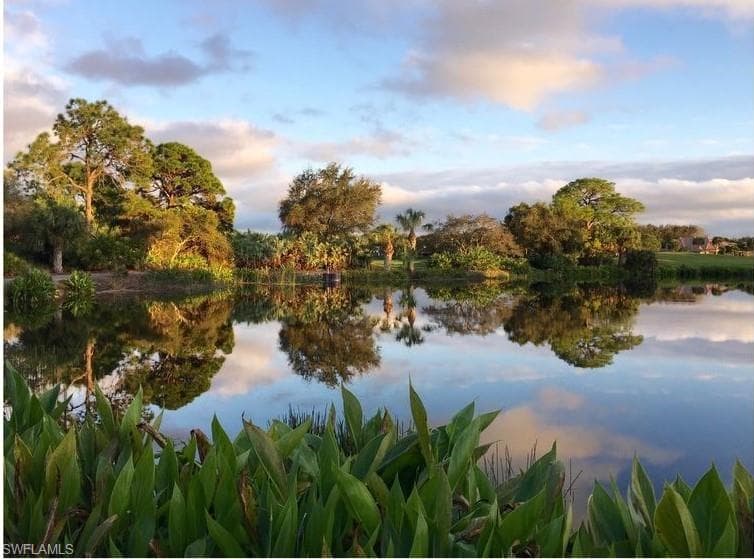 12219 Colliers Reserve Dr, Naples, FL 34110-34