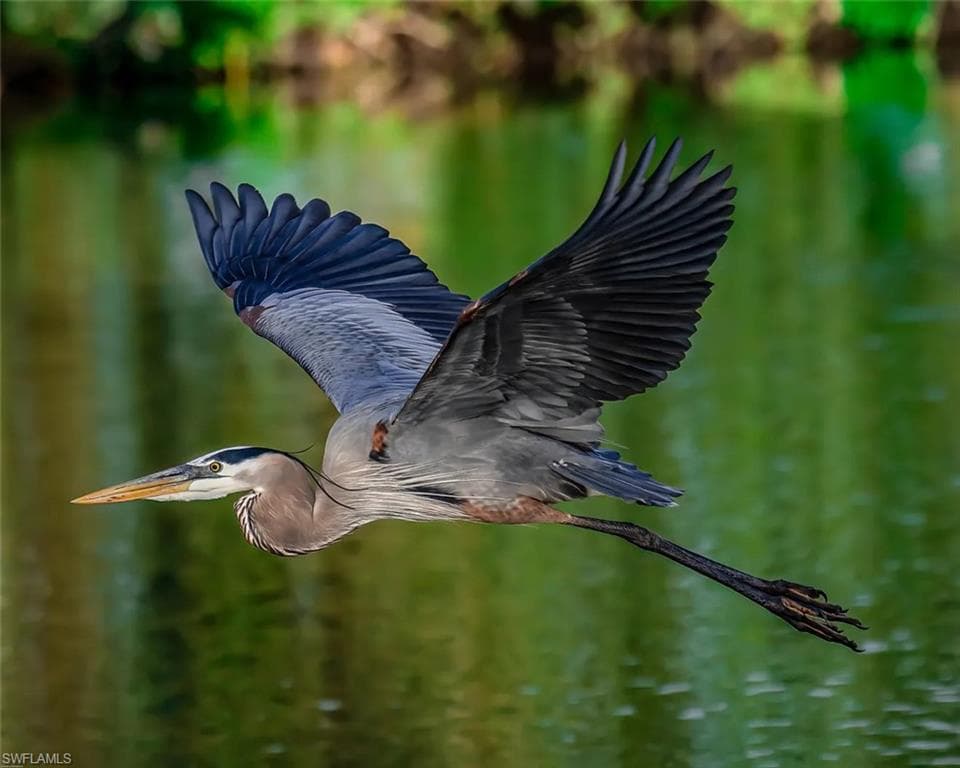 12219 Colliers Reserve Dr, Naples, FL 34110-42