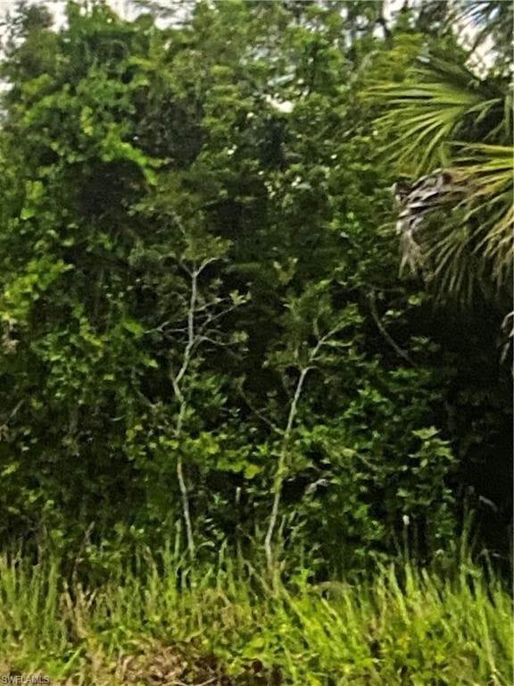 6007 Rita Ave N, Lehigh Acres, FL 33971-2