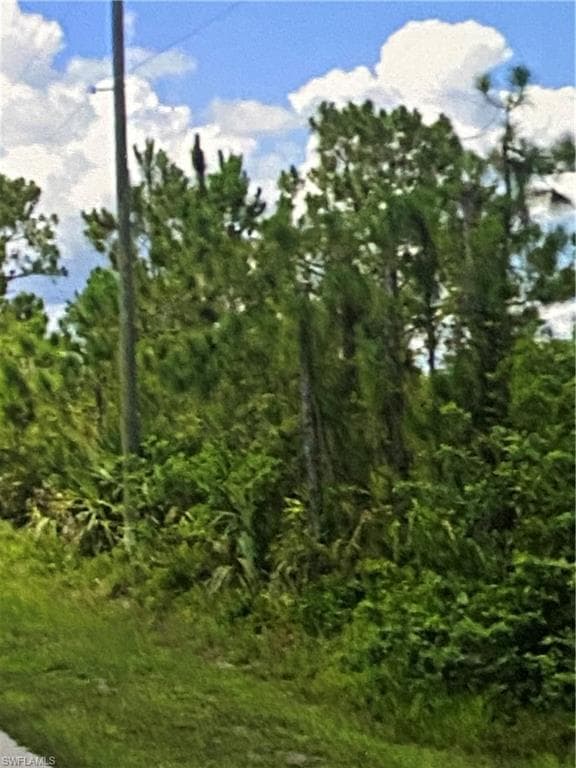 6007 Rita Ave N, Lehigh Acres, FL 33971-3