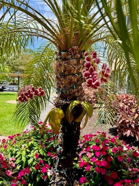 1075 Foxfire Ln 310, Naples, FL 34104-23