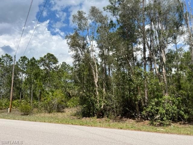 545 Millcreek St, Lehigh Acres, FL 33974-4