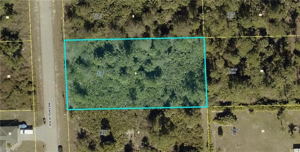 718 Magnolia Ave, Lehigh Acres, FL 33972-1