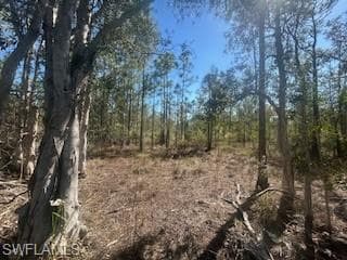 4 1st Rd, Cape Coral, FL 33993-7