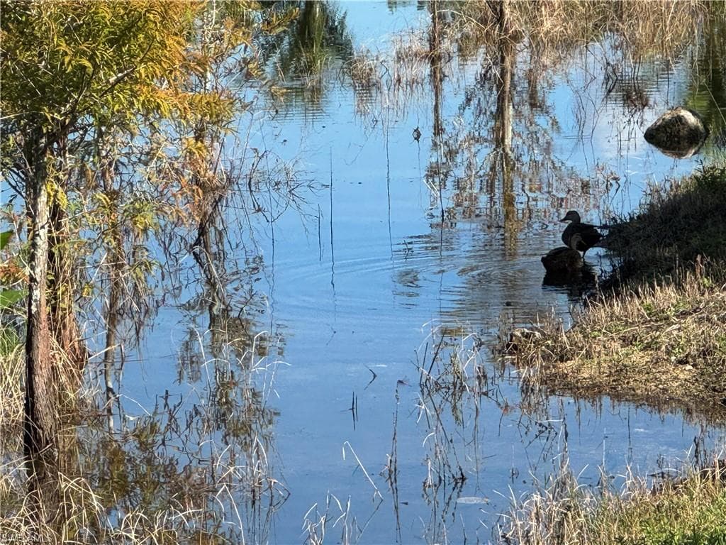 1819 Mustique St, Naples, FL 34120-34