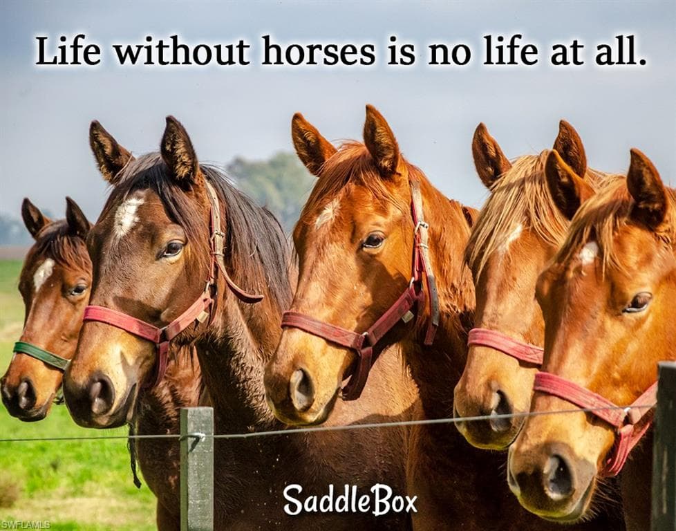 10910 Ruden Rd, North Fort Myers, FL 33917-5