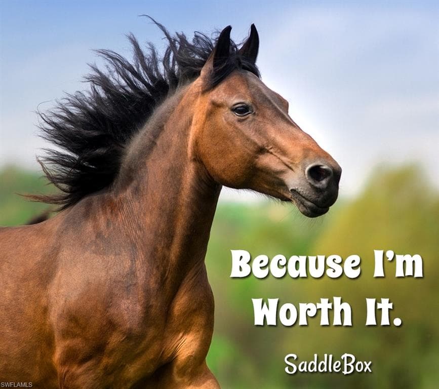 10910 Ruden Rd, North Fort Myers, FL 33917-6