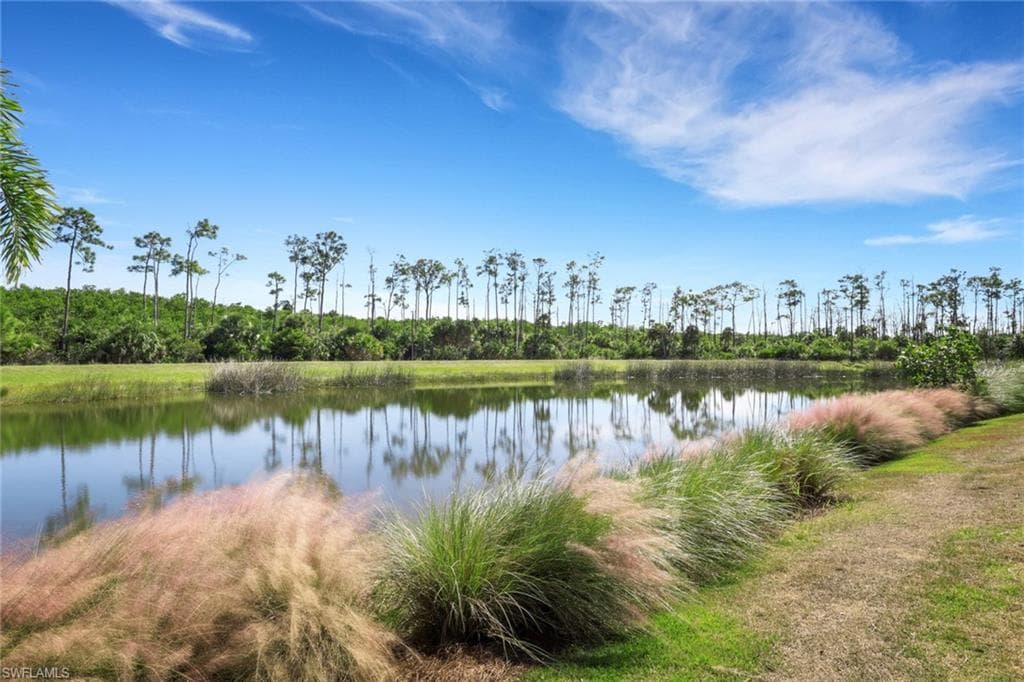 6242 Union Island Way, Naples, FL 34113-33