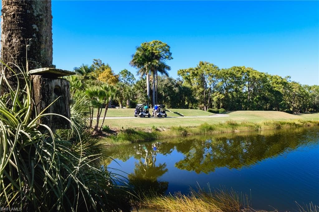 3315 Grand Cypress Dr 101, Naples, FL 34119-39