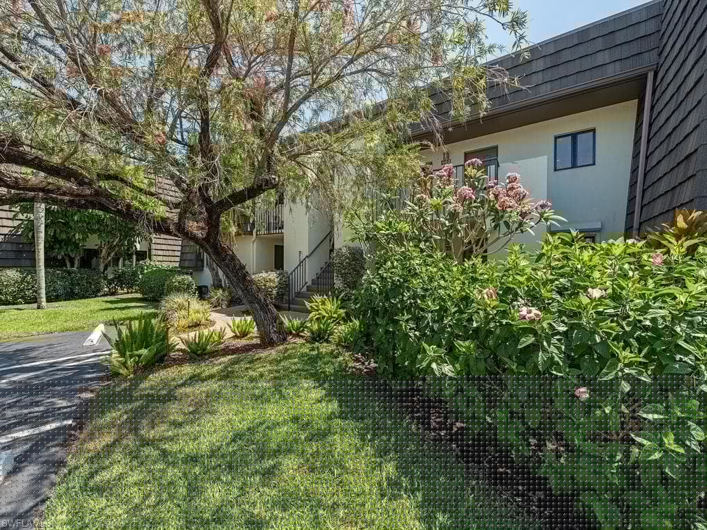 Virtual Tour