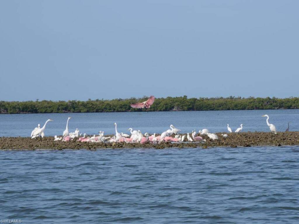 111 Morning Star Cay, Naples, FL 34114-43
