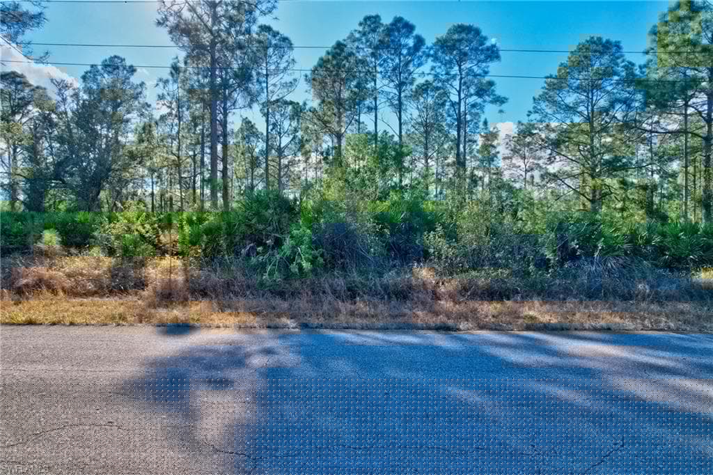 Virtual Tour