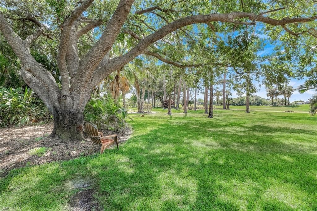 Virtual Tour