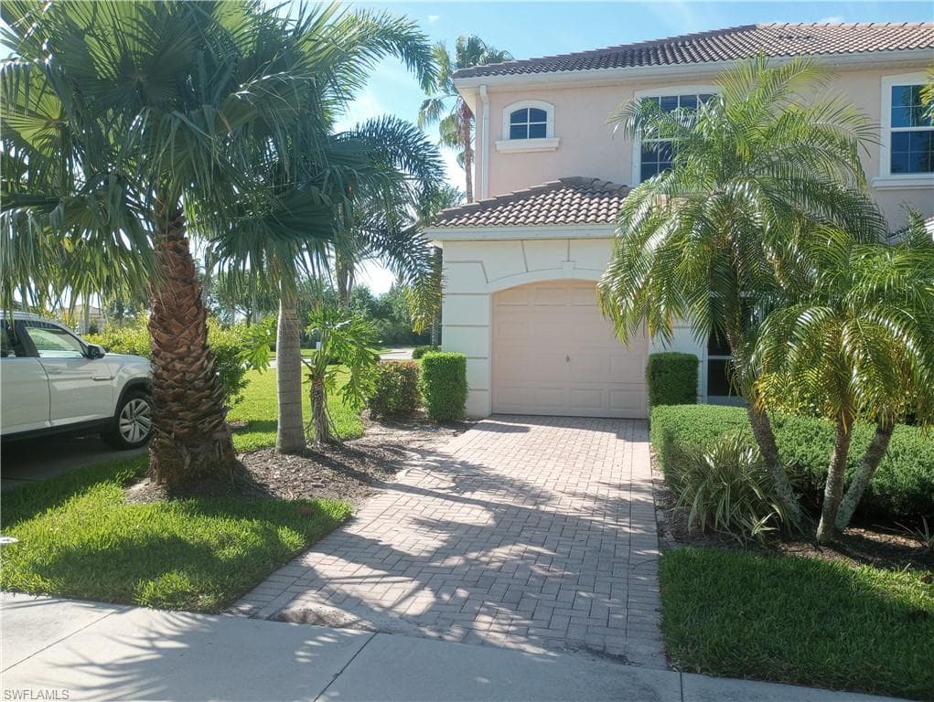 1406 Weeping Willow CT-1