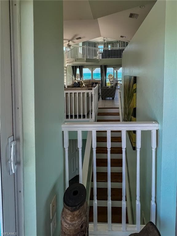 150 White Pelican DR-17