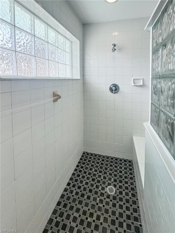 150 White Pelican DR-43