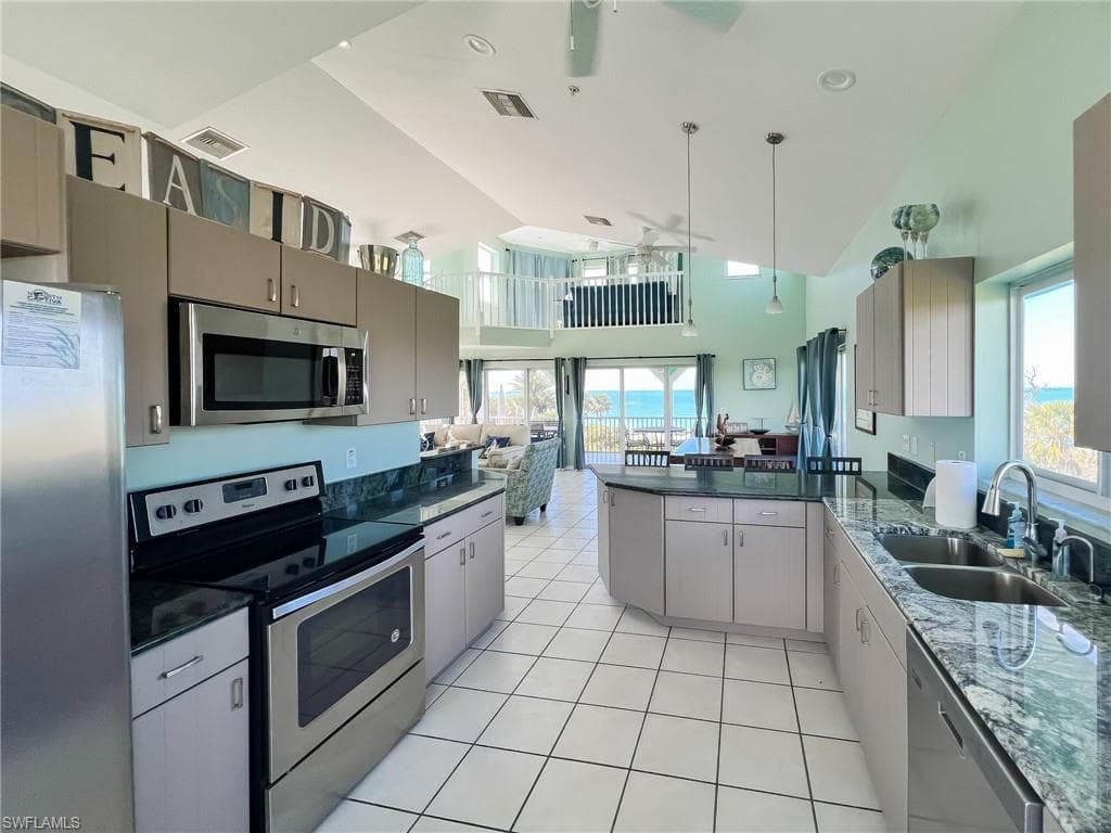 150 White Pelican DR-22