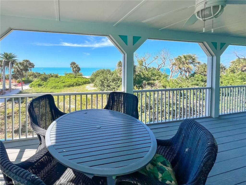150 White Pelican DR-36