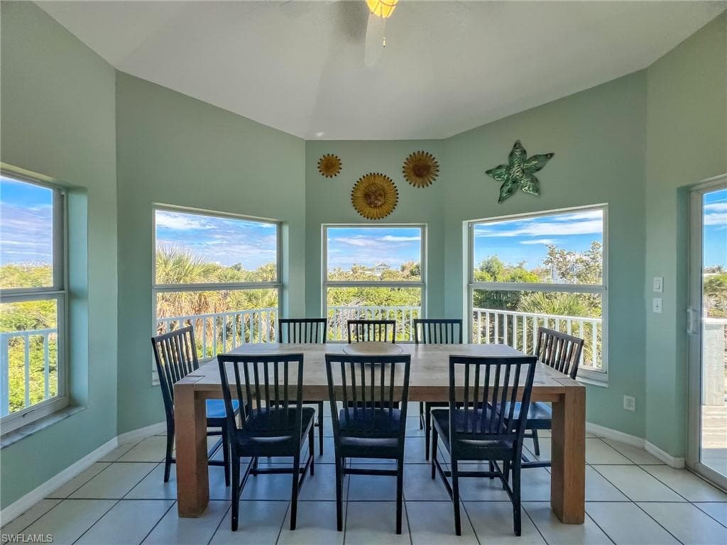 150 White Pelican DR-20