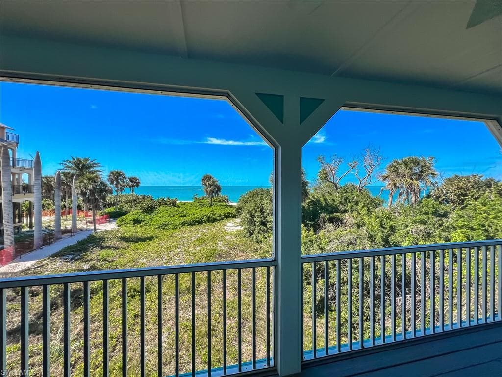 150 White Pelican DR-37