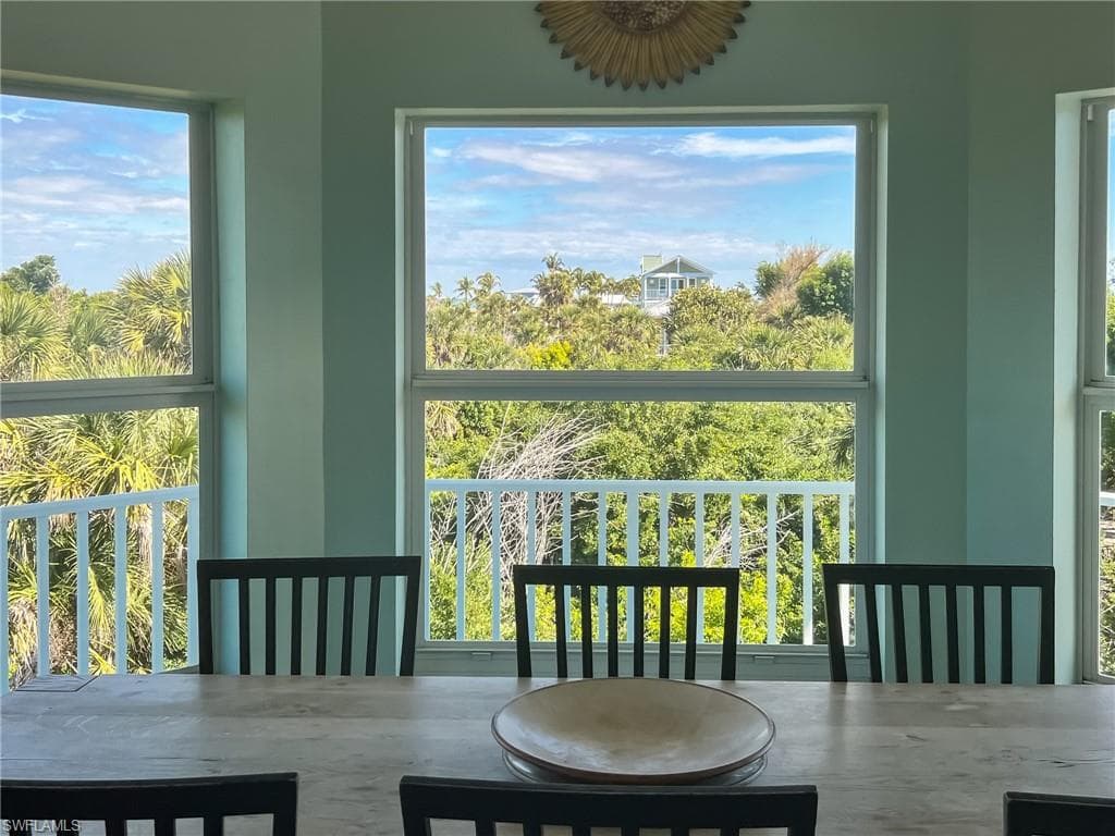 150 White Pelican DR-19