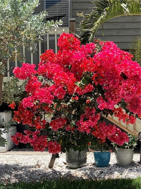 7731 Bocilla LN # 9, BOKEELIA FL 33922-5