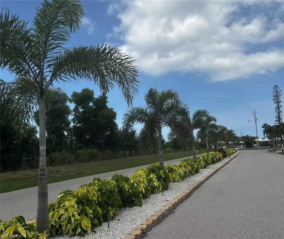 4920 Pinfish LN-22