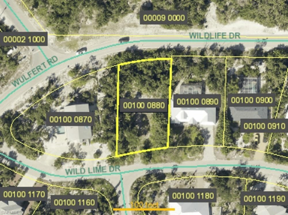 2090 Wild Lime DR-1